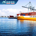 Services professionnels LCL FCL de transitaire international d'importation d'exportation