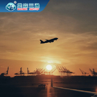Agent maritime mondial de Shenzhen, service porte-à-porte de commissionnaire de le le transport de FBA