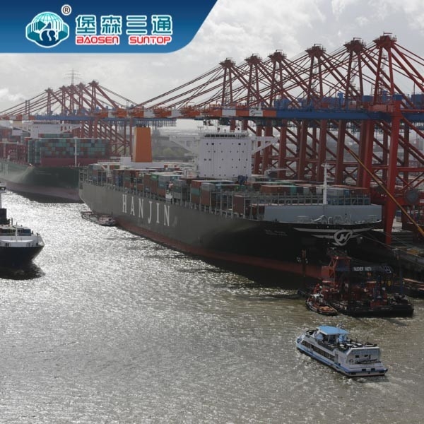 Expéditeur d'International Air Freight d'agent maritime de Chine vers les Etats-Unis Canada R-U Italie